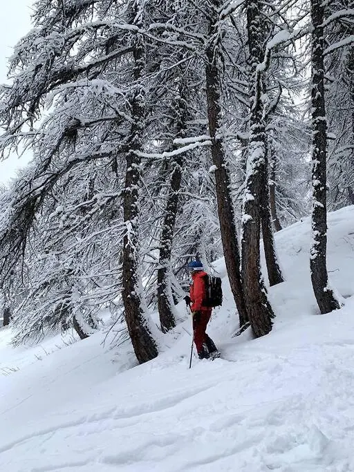 Heart Of La Grave La Meije 0*,  France